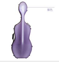 CELLO CASE 167.jpg